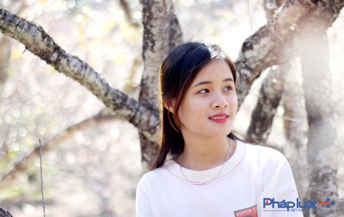 Những bạn trẻ vừa từ Mộc Châu về chia sẻ: “Ngay từ đầu tuần, nhiều bạn trẻ khắp cả nước đã đến Mộc Châu để du lịch. Đặc điểm của hoa mận chỉ nở trong khoảng thời gian không dài, kéo dài từ 2 đến 3 tuần lễ nên muốn chiêm ngưỡng những vẻ đẹp của loài hoa này mọi người đã lên kế hoạch tới Mộc Châu từ những tuần trước”.