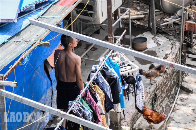 Sống trong lòng rác dưới chân cầu Long Biên