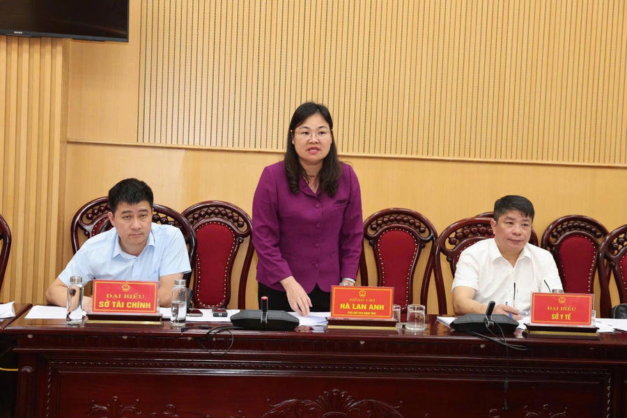 Bà Hà Lan Anh, Tỉnh ủy viên, Phó Chủ tịch UBND tỉnh phát biểu tại buổi làm việc.