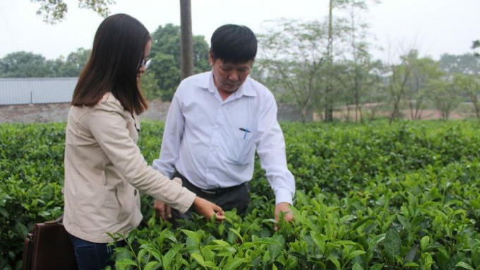 Ông Đỗ Tiến Hùng - Giám đốc HTX Long Phú đang giới thiệu về hoạt động sản xuất chè Long Phú theo tiêu chuẩn VietGap