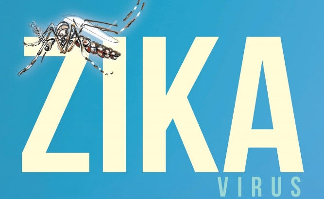 Bến Tre ghi nhận tường hợp nhiễm Zika đầu tiên. Ảnh: minh họa