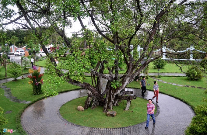 Một cây đa khá lớn được trồng phía trước, tạo không gian xanh, cảm giác mát mẻ cho công trình vừa được khánh thành.