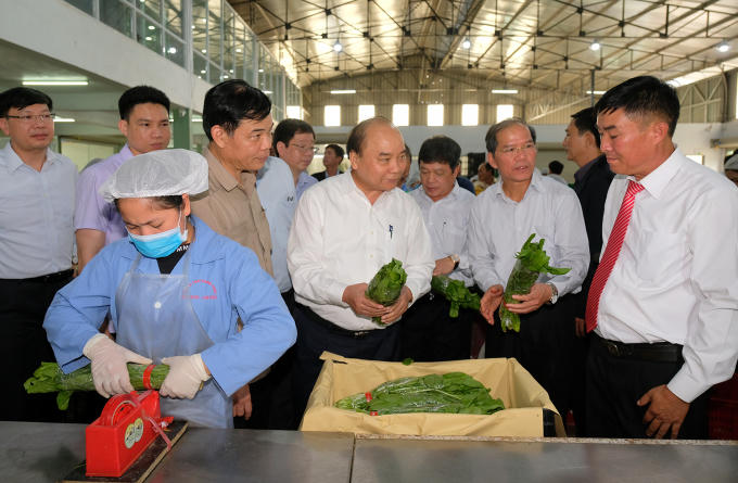 Đánh giá cao việc công ty đã đầu tư công nghệ cao để sản xuất nông sản an toàn, phục vụ thị trường trong nước và xuất khẩu, Thủ tướng Nguyễn Xuân Phúc đề nghị công ty tiếp tục phát huy kết quả đạt được, đầu tư mở rộng sản xuất, xây dựng thương hiệu và đẩy mạnh phát triển thị trường, qua đó, giúp người tiêu dùng trong nước biết đến thương hiệu nông sản Phong Thúy và được sử dụng nông sản an toàn, đồng thời góp phần thúc đẩy xuất khẩu rau củ quả an toàn thương hiệu Việt ra thị trường thế giới.