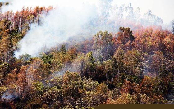 Hiện trường vụ cháy ở núi Đá Tợ