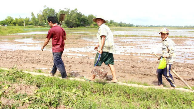 Lúa trên những cánh đồng thu hoạch xong sẽ báo hiệu mùa săn chuột đồng bắt đầu nhộn nhịp hẳn lên.