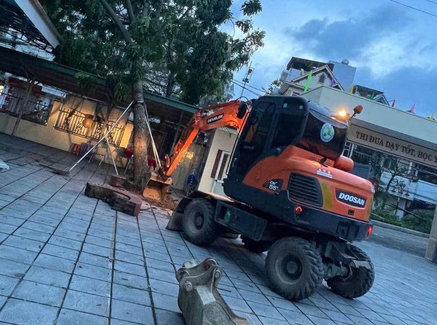 Trồng lại cây sau bão số 3 tại Trường THCS Trọng Điểm (TP Cẩm Phả).