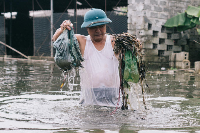 Không những nổi trên mặt nước ...