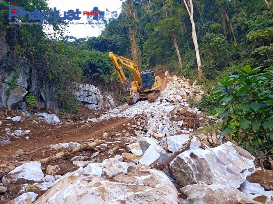 z4969223009369_307a7356d9e2db93cc61a8f27bd21caf