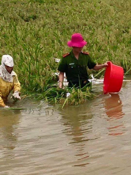 (Nguồn: Facebook).