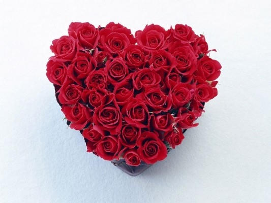 Hoa hồng tượng trưng cho sự l&atilde;ng mạn, nồng ch&aacute;y trong t&igrave;nh y&ecirc;u. Ảnh: internet.