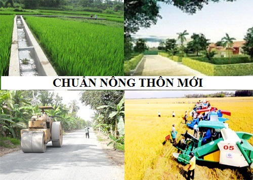 Ảnh mang tính chất minh họa. Nguồn: Internet