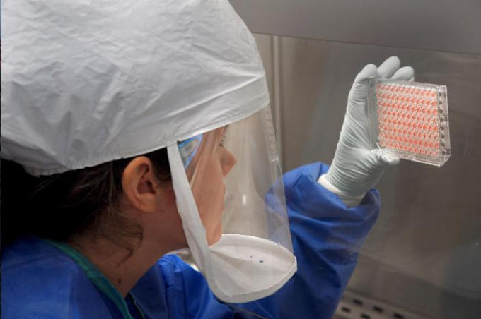Các nhà khoa học đang nghiên cứu về chủng cúm gia cầm HPAI. (Ảnh: Reuters)