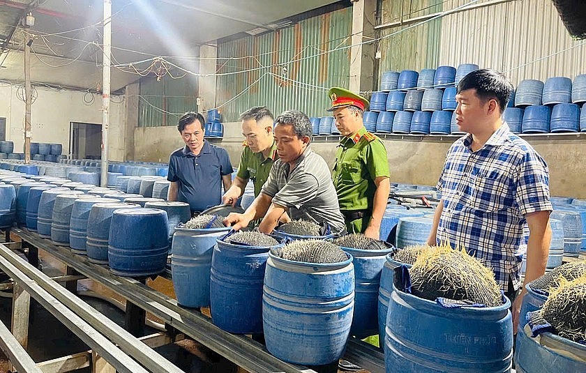 Các đối tượng sử dụng dung dịch 6-Benzylaminopurine để ngâm ủ giá đỗ.
			(Ảnh: Công an tỉnh Lào Cai).