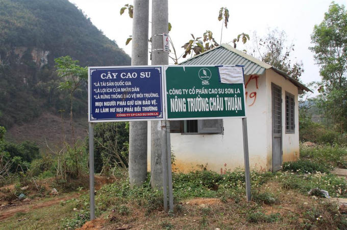 Sơn La: Công nhân công ty cao su ồ ạt nghỉ việc, người dân mong muốn điều gì?