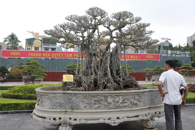 Anh402.