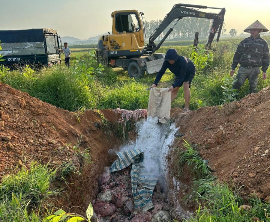 Tiêu hủy toàn bộ số hàng vi phạm.