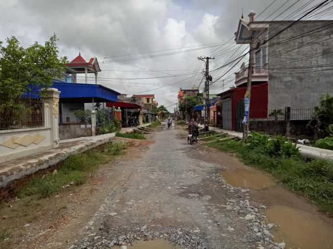 Cỏ đã mọc um tùm hai bên mà tuyến đường không được thi công trở lại