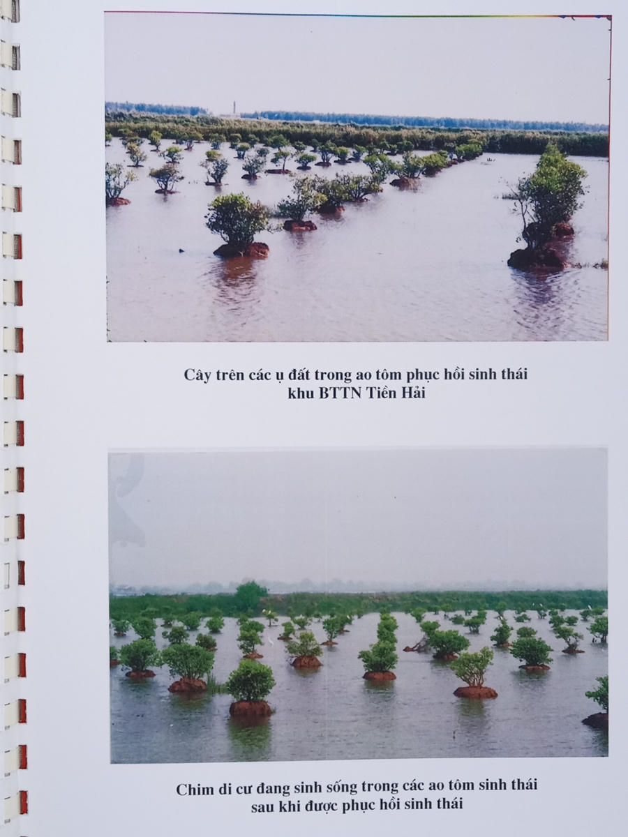 z4554136277574_3b9985a1fd19fba91b775d8501bdde3d