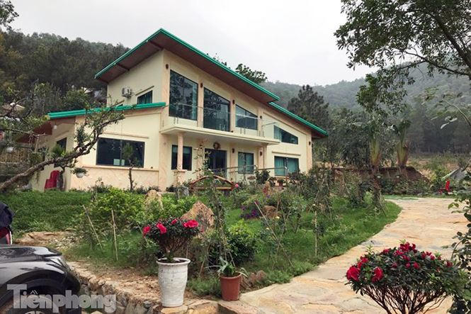 Được biết, các vi phạm tập trung chủ yếu ở 2 xã Minh Phú và Minh Trí và khu vực ven 7 hồ lớn trong khu vực quy hoạch rừng.