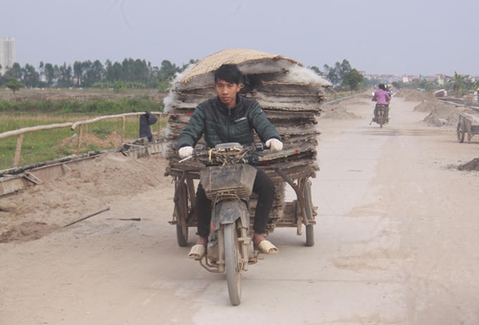 Miến được người sản xuất phơi ven đường đê sông Đáy, đoạn qua xã Dương Liễu, Hoài Đức (Hà Nội). Mặc cho bụi bẩn, khói bụi.