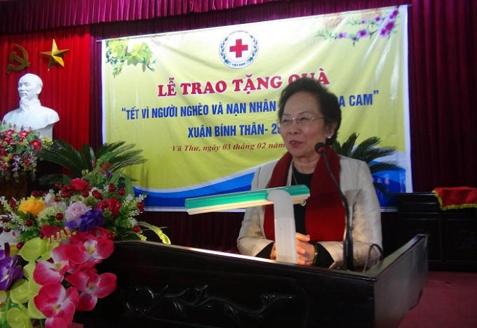 Phó Chủ tịch nước Nguyễn Thị Doan phát biểu tại buổi lễ. Ảnh: Trung Du.