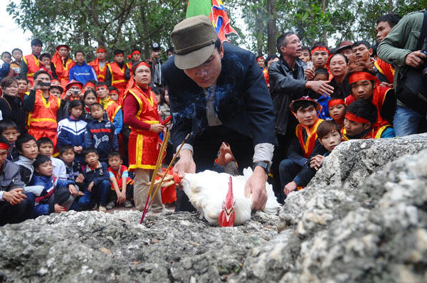 Lễ hội trừ tà cho gà.