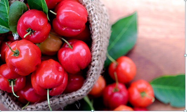 Loại quả nào là “nữ hoàng” vitamin cứu các bệnh mùa hè cho trẻ?