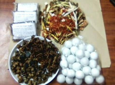 Bài thuốc quý chữa vô sinh trong đó có sâm thổ cao ly và ngải đen.