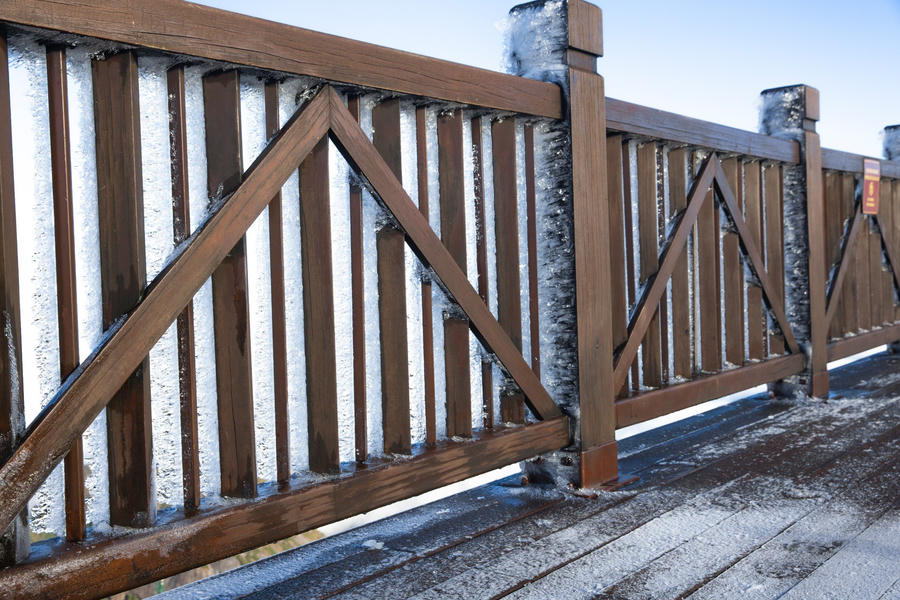 z5009956543145_37ff429edb68d07fc1a8692771f4923d