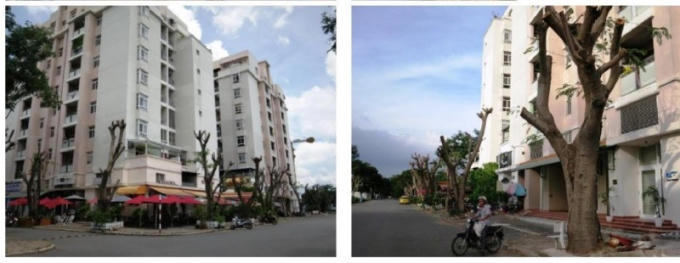 Một góc chung cư M.V do Công ty P.M.H làm chủ đầu tư.