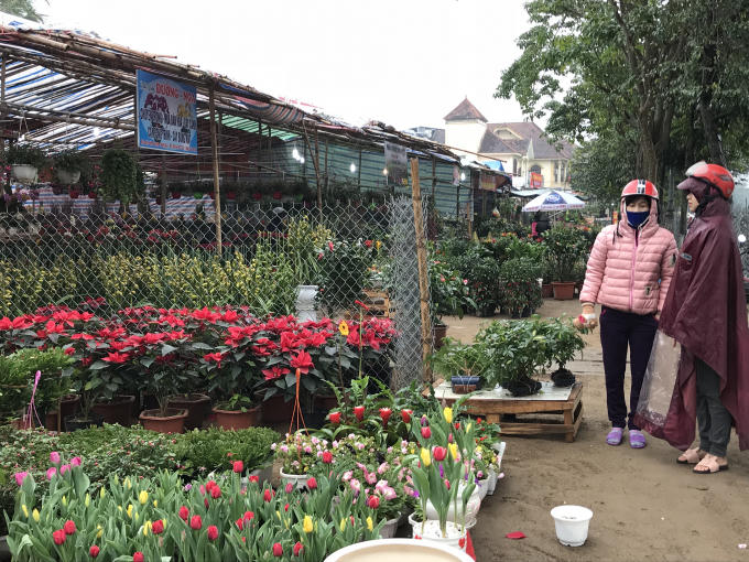 Tại các cửa hàng hoa cũng khá vắng khách.