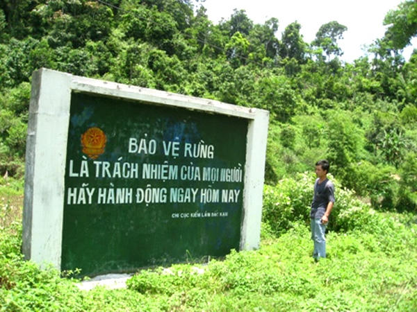 bao ve rung