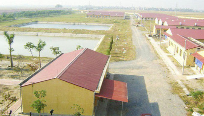 Một c&ocirc;ng ty chuy&ecirc;n sản xuất giống lợn của Dabaco.