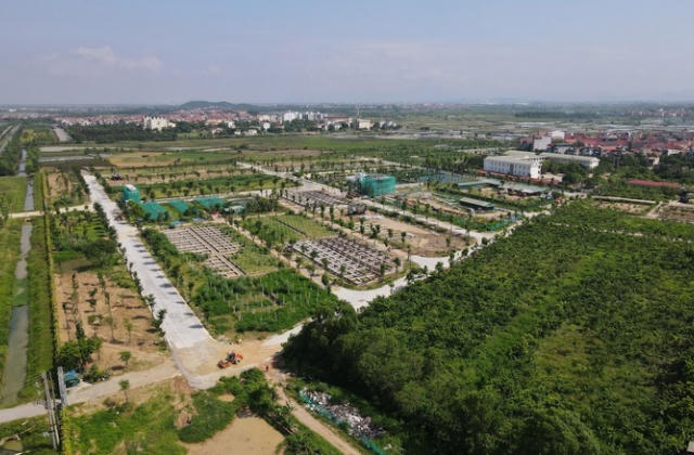 Chủ tịch Hà Nội chỉ đạo