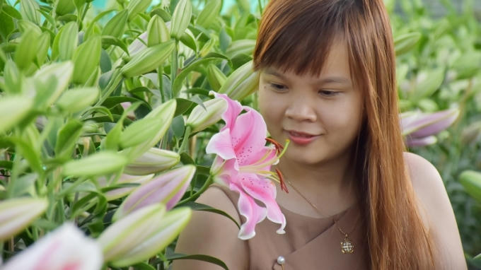 Thiếu nữ bên những cành hoa Ly nở vội.