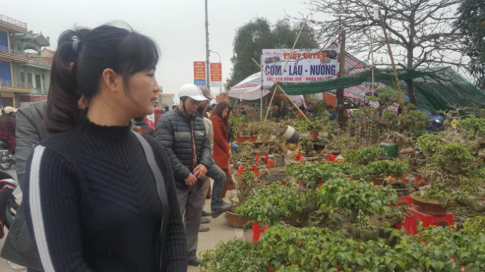 Cây cảnh cũng là một trong những mặt hàng thu hút sự chú ý của đông đảo du khách.