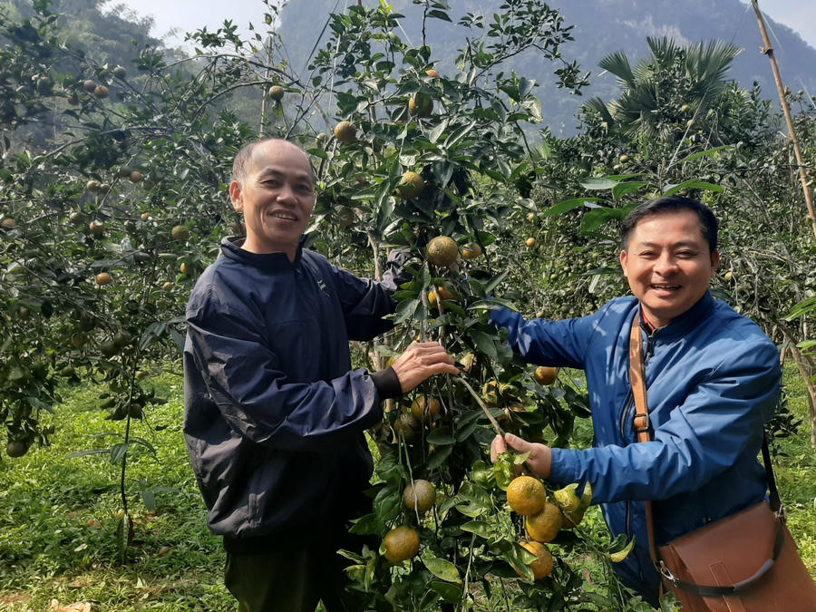 Người thương binh thôn Bứa (trái) và tác giả tại đều có chung niềm vui khi tận mắt thấy những cây cam trĩu quả
