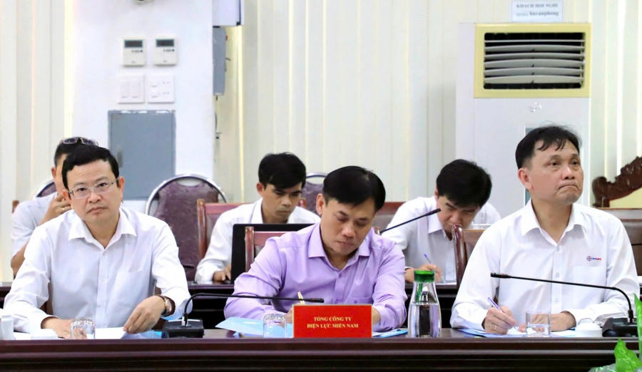 Đại diện Tổng Công ty Điện lực miền Nam (EVNSPC) tham gia cuộc họp