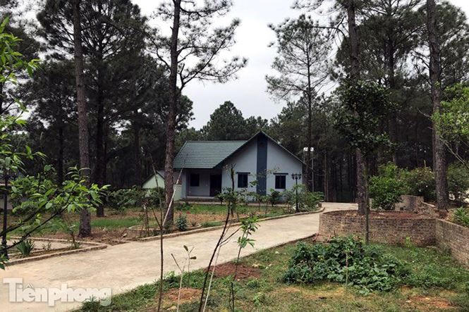 Hậu quả là hàng trăm hồ sơ mua bán, chuyển nhượng quyền sử dụng đất trong quy hoạch rừng phòng hộ được chứng thực. Nhiều thửa đất nằm trong rừng phòng hộ vẫn được cấp giấy chứng nhận quyền sử dụng đất, kéo theo đó là tình trạng xây dựng công trình trái phép diễn ra tràn lan, không được kiểm soát như hiện nay.