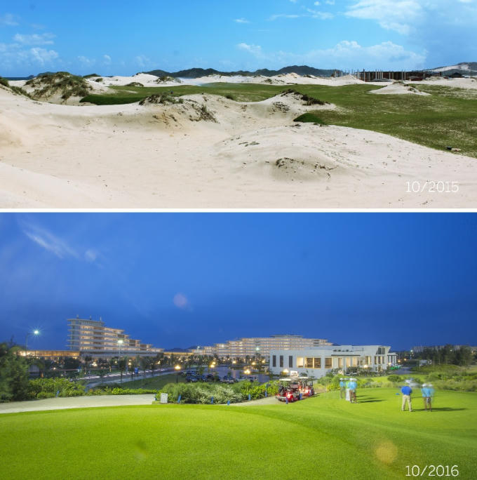 Những đồi cát cằn cỗi ven biển được phủ xanh sau một năm khởi công FLC Quy Nhơn