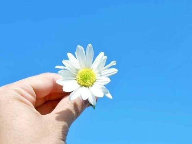 Ảnh minh họa. Nguồn: VOH