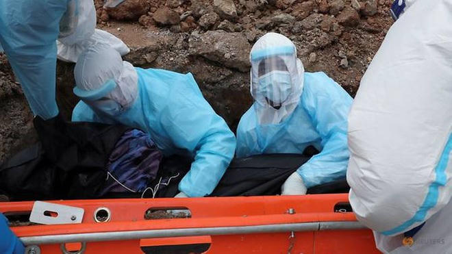 chon-cat-1626334771573