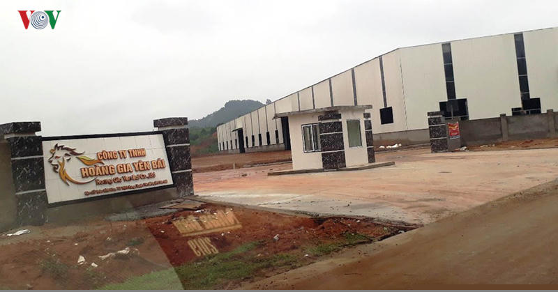 Công ty TNHH Hoàng Gia Yên Bái.