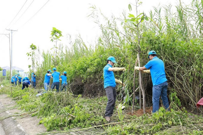 Nhân viên Novaland trồng 100 cây xanh đô thị tại tuyến đường trung tâm Quận Ninh Kiều – Tp.Cần Thơ.