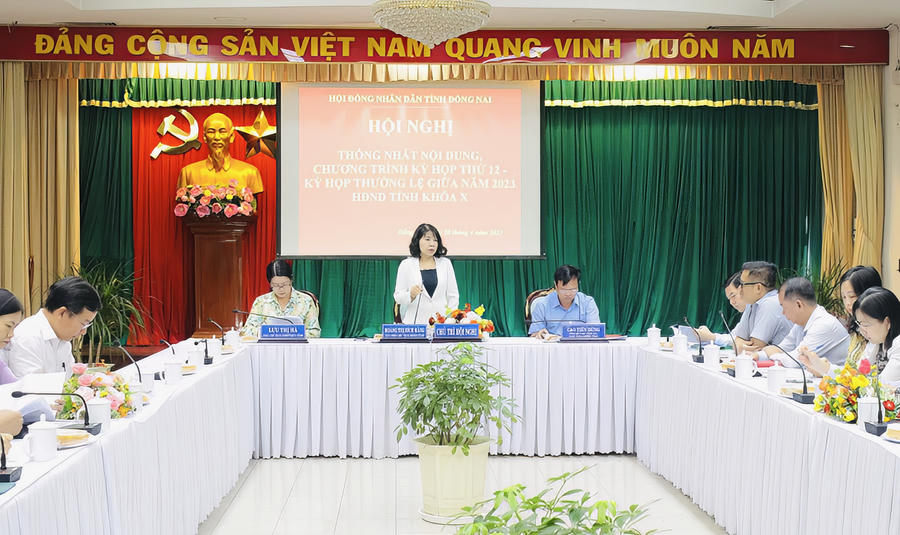 Phó chủ tịch HĐND tỉnh Hoàng Thị Bích Hằng phát biểu tại hội nghị thống nhất nội dung Kỳ họp thường lệ giữa năm 2023 của HĐND tỉnh. (Ảnh: BĐN)
