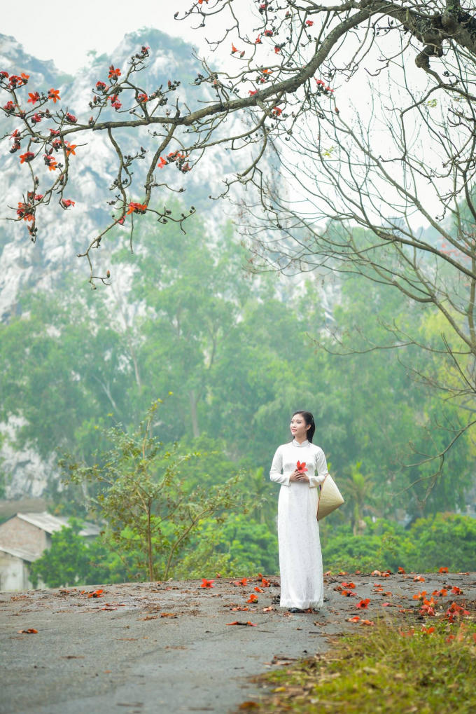 Trong nắng nhẹ đầu hạ, hoa gạo bùng nở, cháy hết mình. Những bông hoa nhỏ bé như những đốm lửa cháy mãi không thôi.