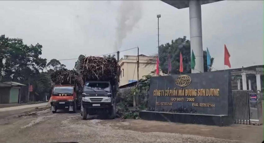Công ty CP mía đường Sơn Dương.