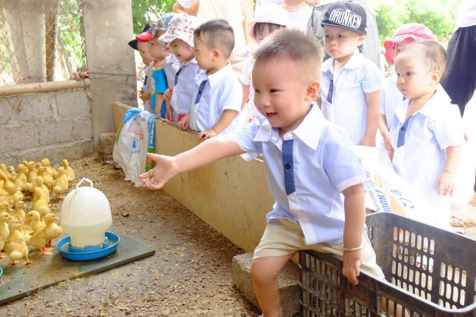 Các em được "tận mắt" nhìn thấy những con vật mà trước đây chỉ thấy qua sách vở.