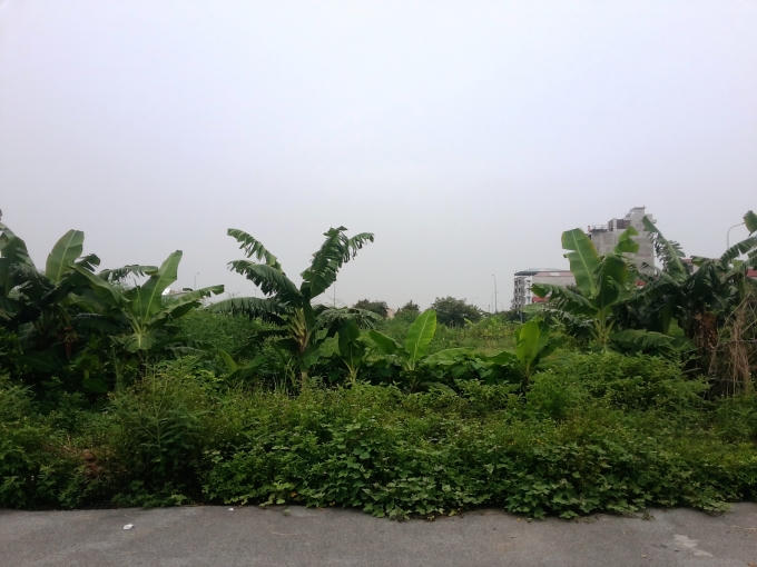 Huyện Gia Lâm thu hồi đất thổ cư đang ở của dân để làm đường đấu nối vào khu đấu giá đất Trâu Quỳ. Trong khi đó, khu đất này nhiều năm bỏ hoang, chỉ lác đác 1 vài ngôi nhà được xây dựng.