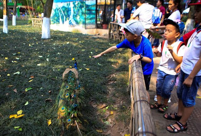 Thời tiết Hà Nội dịp nghỉ lễ giỗ Tổ khá dễ chịu. Nhiều gia đình thay vì đi du lịch xa, đã chọn một chuyến đi chơi trong nội thành Hà Nội.